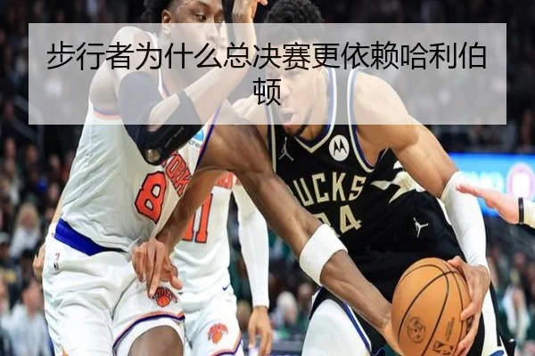 步行者为什么总决赛更依赖哈利伯顿