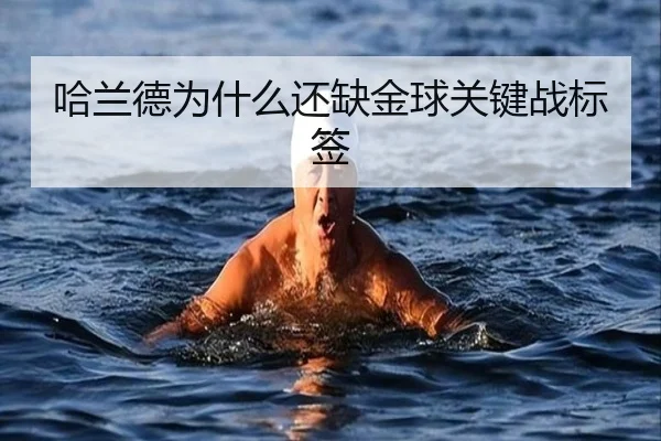 哈兰德为什么还缺金球关键战标签